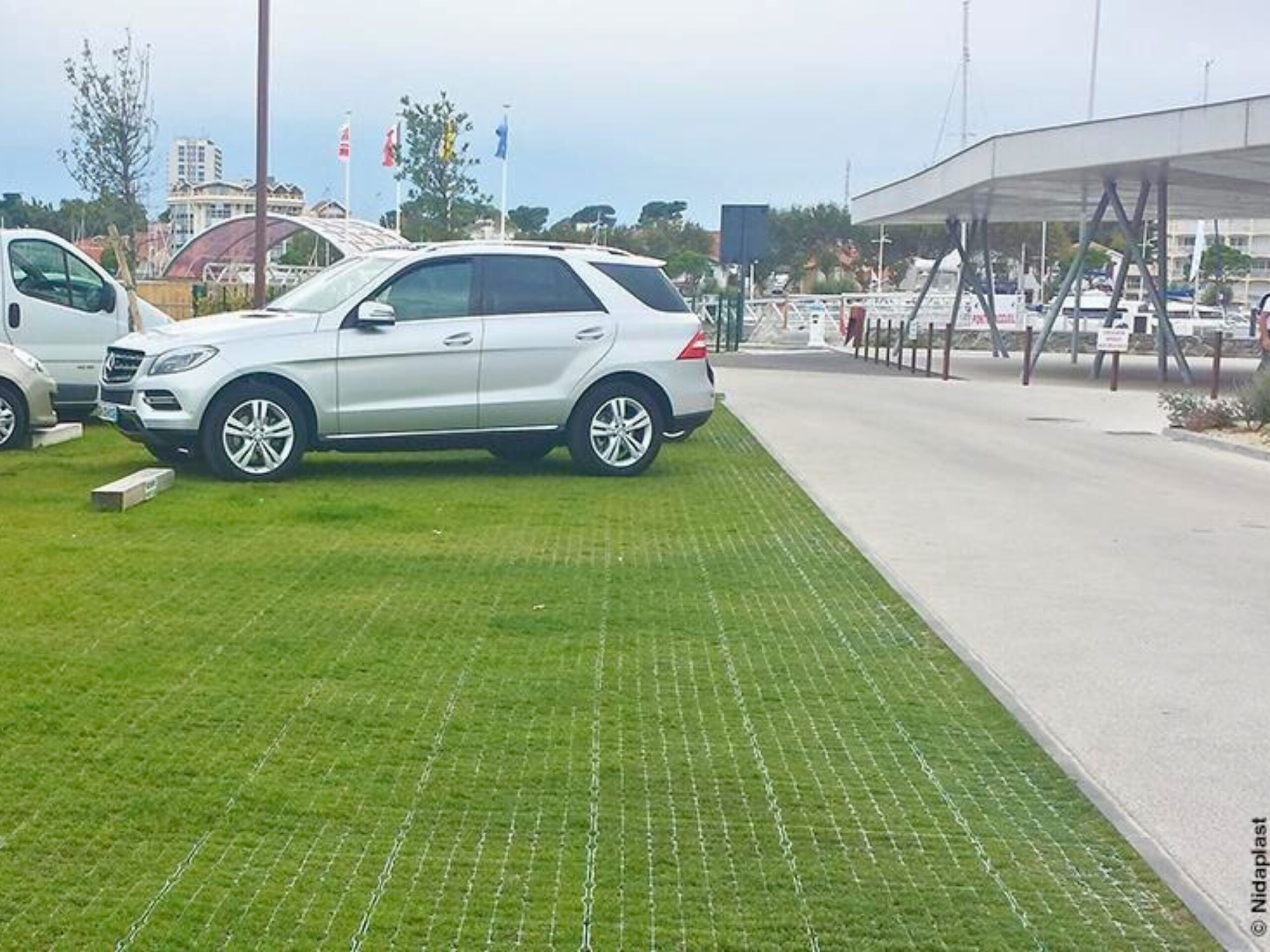 dalles-vegetales-drainantes